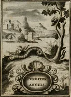Picture 15 of 107 from Conceptvs chronographicvs de concepta sacra Deipara : Septingentis Sacrae Scripturae, ss. patrum, ac rationum, nec non historiarum, symbolorum, antiquitatum, et anagrammatum suffragiis roboratus : ac totidem praefixis chronographicis, annum currentem prodentibus copiose instructus : occasione saeculi, hoc eodem anno septima vice absoluti, et celebrati, a patribus Benedictinis liberi, ac imperialis monasterii ad SS. Udalricum, & Afram, Augustae Vindelicorum (1712), leaf 50