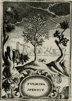 Picture 19 of 107 from Conceptvs chronographicvs de concepta sacra Deipara : Septingentis Sacrae Scripturae, ss. patrum, ac rationum, nec non historiarum, symbolorum, antiquitatum, et anagrammatum suffragiis roboratus : ac totidem praefixis chronographicis, annum currentem prodentibus copiose instructus : occasione saeculi, hoc eodem anno septima vice absoluti, et celebrati, a patribus Benedictinis liberi, ac imperialis monasterii ad SS. Udalricum, & Afram, Augustae Vindelicorum (1712), leaf 67