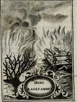 Picture 20 of 107 from Conceptvs chronographicvs de concepta sacra Deipara : Septingentis Sacrae Scripturae, ss. patrum, ac rationum, nec non historiarum, symbolorum, antiquitatum, et anagrammatum suffragiis roboratus : ac totidem praefixis chronographicis, annum currentem prodentibus copiose instructus : occasione saeculi, hoc eodem anno septima vice absoluti, et celebrati, a patribus Benedictinis liberi, ac imperialis monasterii ad SS. Udalricum, & Afram, Augustae Vindelicorum (1712), leaf 71