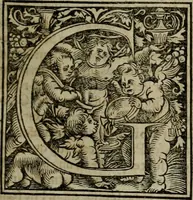 An illustration from Concilia omnia, tam generalia quam particularia : ab apostolorum temporibus in hunc vsque diem a sanctissimis patribus celebrata, & quorum acta literis mandata, ex vetustissimis diuersa[rum] regionu bibliothecis haberi potuere, his duobus tomis continentur : tomvs primvs ea recenset concilia, quae a beato Petro apostolo vsq[ue] ad Iohanne huius nominis papam secundu seruata inuenimus : quo[rum] ordinem & nomina si quis accuratius desideret, versa pagina indicabit (1538)