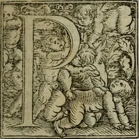 An illustration from Concilia omnia, tam generalia quam particularia : ab apostolorum temporibus in hunc vsque diem a sanctissimis patribus celebrata, & quorum acta literis mandata, ex vetustissimis diuersa[rum] regionu bibliothecis haberi potuere, his duobus tomis continentur : tomvs primvs ea recenset concilia, quae a beato Petro apostolo vsq[ue] ad Iohanne huius nominis papam secundu seruata inuenimus : quo[rum] ordinem & nomina si quis accuratius desideret, versa pagina indicabit (1538)