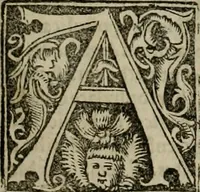 An illustration from Concilia omnia, tam generalia quam particularia : ab apostolorum temporibus in hunc vsque diem a sanctissimis patribus celebrata, & quorum acta literis mandata, ex vetustissimis diuersa[rum] regionu bibliothecis haberi potuere, his duobus tomis continentur : tomvs primvs ea recenset concilia, quae a beato Petro apostolo vsq[ue] ad Iohanne huius nominis papam secundu seruata inuenimus : quo[rum] ordinem & nomina si quis accuratius desideret, versa pagina indicabit (1538)