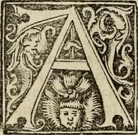 An illustration from Concilia omnia, tam generalia quam particularia : ab apostolorum temporibus in hunc vsque diem a sanctissimis patribus celebrata, & quorum acta literis mandata, ex vetustissimis diuersa[rum] regionu bibliothecis haberi potuere, his duobus tomis continentur : tomvs primvs ea recenset concilia, quae a beato Petro apostolo vsq[ue] ad Iohanne huius nominis papam secundu seruata inuenimus : quo[rum] ordinem & nomina si quis accuratius desideret, versa pagina indicabit (1538)