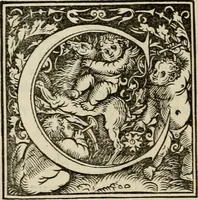An illustration from Concilia omnia, tam generalia quam particularia : ab apostolorum temporibus in hunc vsque diem a sanctissimis patribus celebrata, & quorum acta literis mandata, ex vetustissimis diuersa[rum] regionu bibliothecis haberi potuere, his duobus tomis continentur : tomvs primvs ea recenset concilia, quae a beato Petro apostolo vsq[ue] ad Iohanne huius nominis papam secundu seruata inuenimus : quo[rum] ordinem & nomina si quis accuratius desideret, versa pagina indicabit (1538)