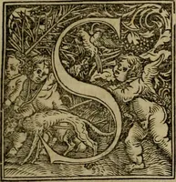 An illustration from Concilia omnia, tam generalia quam particularia : ab apostolorum temporibus in hunc vsque diem a sanctissimis patribus celebrata, & quorum acta literis mandata, ex vetustissimis diuersa[rum] regionu bibliothecis haberi potuere, his duobus tomis continentur : tomvs primvs ea recenset concilia, quae a beato Petro apostolo vsq[ue] ad Iohanne huius nominis papam secundu seruata inuenimus : quo[rum] ordinem & nomina si quis accuratius desideret, versa pagina indicabit (1538)