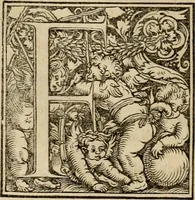 Picture 26 of 31 from Concilia omnia, tam generalia quam particularia : ab apostolorum temporibus in hunc vsque diem a sanctissimis patribus celebrata, & quorum acta literis mandata, ex vetustissimis diuersa[rum] regionu bibliothecis haberi potuere, his duobus tomis continentur : tomvs primvs ea recenset concilia, quae a beato Petro apostolo vsq[ue] ad Iohanne huius nominis papam secundu seruata inuenimus : quo[rum] ordinem & nomina si quis accuratius desideret, versa pagina indicabit (1538), leaf 351