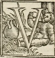 An illustration from Concilia omnia, tam generalia quam particularia : ab apostolorum temporibus in hunc vsque diem a sanctissimis patribus celebrata, & quorum acta literis mandata, ex vetustissimis diuersa[rum] regionu bibliothecis haberi potuere, his duobus tomis continentur : tomvs primvs ea recenset concilia, quae a beato Petro apostolo vsq[ue] ad Iohanne huius nominis papam secundu seruata inuenimus : quo[rum] ordinem & nomina si quis accuratius desideret, versa pagina indicabit (1538)
