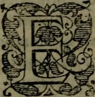 An illustration from Conciones nvptiales XL. ex Vetere Testamento, & XX. ex Nouo, Ionnis Brandmilleri. Cum prefatione in principio .. (1579)