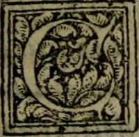 An illustration from Conciones nvptiales XL. ex Vetere Testamento, & XX. ex Nouo, Ionnis Brandmilleri. Cum prefatione in principio .. (1579)