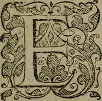 An illustration from Conciones nvptiales XL. ex Vetere Testamento, & XX. ex Nouo, Ionnis Brandmilleri. Cum prefatione in principio .. (1579)