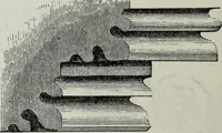 An illustration from A concise glossary of terms used in Grecian, Roman, Italian, and Gothic architecture (1879)