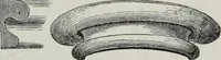 An illustration from A concise glossary of terms used in Grecian, Roman, Italian, and Gothic architecture (1879)
