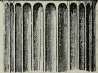 An illustration from A concise glossary of terms used in Grecian, Roman, Italian, and Gothic architecture (1879)