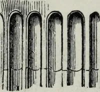 An illustration from A concise glossary of terms used in Grecian, Roman, Italian, and Gothic architecture (1879)