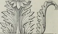 An illustration from A concise glossary of terms used in Grecian, Roman, Italian, and Gothic architecture (1879)