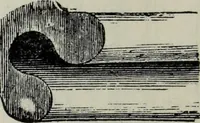 An illustration from A concise glossary of terms used in Grecian, Roman, Italian, and Gothic architecture (1879)