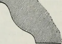 An illustration from A concise glossary of terms used in Grecian, Roman, Italian, and Gothic architecture (1879)
