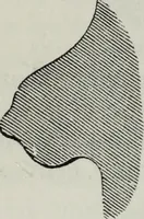An illustration from A concise glossary of terms used in Grecian, Roman, Italian, and Gothic architecture (1879)