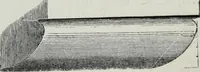 An illustration from A concise glossary of terms used in Grecian, Roman, Italian, and Gothic architecture (1879)