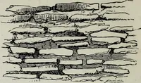 An illustration from A concise glossary of terms used in Grecian, Roman, Italian, and Gothic architecture (1879)