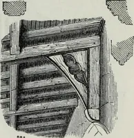 An illustration from A concise glossary of terms used in Grecian, Roman, Italian, and Gothic architecture (1879)