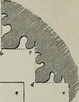 An illustration from A concise glossary of terms used in Grecian, Roman, Italian, and Gothic architecture (1879)