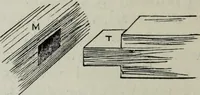 An illustration from A concise glossary of terms used in Grecian, Roman, Italian, and Gothic architecture (1879)