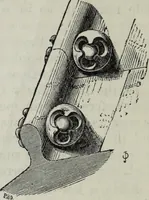 An illustration from A concise glossary of terms used in Grecian, Roman, Italian, and Gothic architecture (1879)