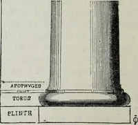 An illustration from A concise glossary of terms used in Grecian, Roman, Italian, and Gothic architecture (1879)