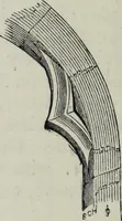 An illustration from A concise glossary of terms used in Grecian, Roman, Italian, and Gothic architecture (1879)