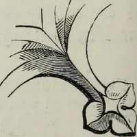An illustration from A concise glossary of terms used in Grecian, Roman, Italian, and Gothic architecture (1879)