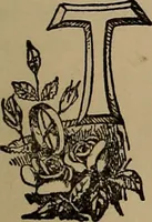 An illustration from A concise and rational course in hypnotism (1900)