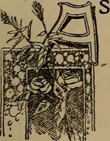 An illustration from A concise and rational course in hypnotism (1900)