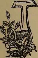 An illustration from A concise and rational course in hypnotism (1900)