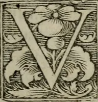 An illustration from Confessio fidei et religionis Christianae, qvam sereniss : et potentiss : Romanorum Vngariae & Bohemiae &c (1575)