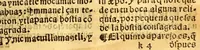 An illustration from Confessionario mayor, en la lengna [sic] mexicana y castellana. (1578)