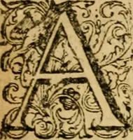 An illustration from The Confession of faith : together with the Larger and Lesser catechismes, composed by the Reverend Assembly of Divines, sitting at Westminster, presented to both houses of Parliament (1675)