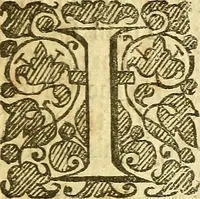 Picture 6 of 6 from Confessions and proofes of Protestant divines of reformed churches, that episcopacy is in respect of the office according to the word of God, and in respect of the use the best. Together with a brief treatise touching the originall of bishops and metropolitans (1662), leaf 84