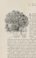 Picture 2 of 5 from Le Congo illustré (1891), leaf 72