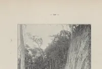 An illustration from Le Congo illustré (1891)