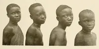 An illustration from Congoland : a book for young people (1920)