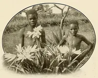 Picture 10 of 18 from Congoland : a book for young people (1920), leaf 65