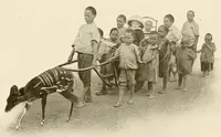 Picture 11 of 18 from Congoland : a book for young people (1920), leaf 69