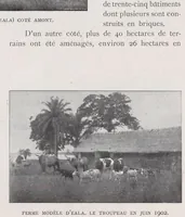 Picture 3 of 7 from Congo-Noël; publié au profit de la Villa coloniale (Sanatorium de Watermael) (1902), leaf 83