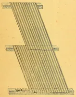 An illustration from Congo : revue générale de la Colonie belge = Congo : Algemeen tiidschrift van de Belgische Kolonje (1920)