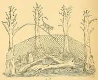 Picture 6 of 18 from Congo : revue générale de la Colonie belge = Congo : Algemeen tiidschrift van de Belgische Kolonje (1920), leaf 78