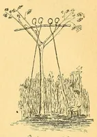An illustration from Congo : revue générale de la Colonie belge = Congo : Algemeen tiidschrift van de Belgische Kolonje (1920)