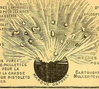 An illustration from Congo : revue générale de la Colonie belge = Congo : Algemeen tiidschrift van de Belgische Kolonje (1920)