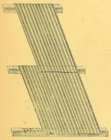 An illustration from Congo : revue générale de la Colonie belge = Congo : Algemeen tiidschrift van de Belgische Kolonje (1920)