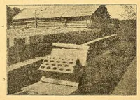 Picture 2 of 4 from Congo : revue générale de la Colonie belge = Congo : Algemeen tiidschrift van de Belgische Kolonje (1920), leaf 120
